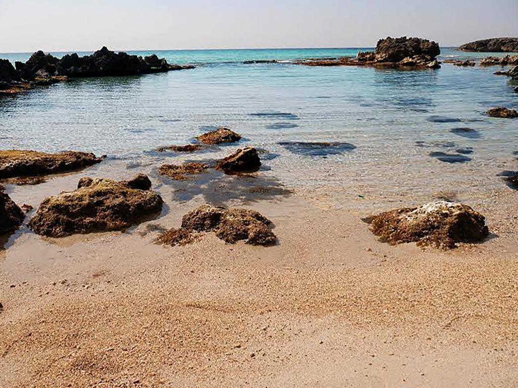 Luxury Beach Villa Puglia Italy 풀사노 외부 사진