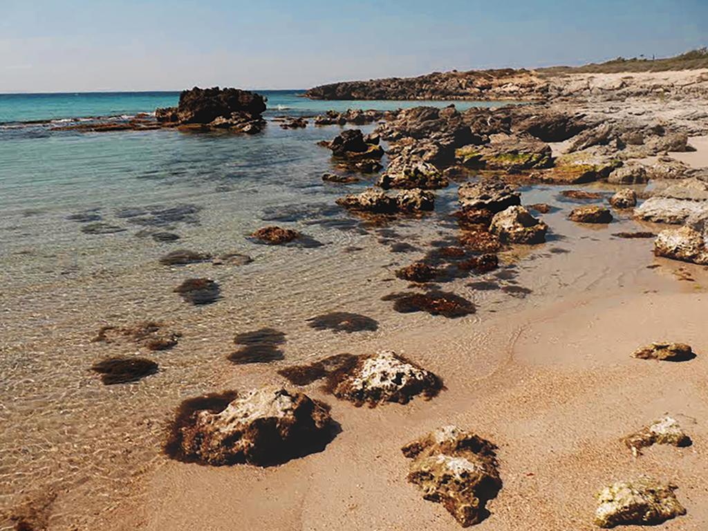 Luxury Beach Villa Puglia Italy 풀사노 외부 사진